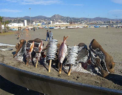 Espeto de sardinas en Malaga