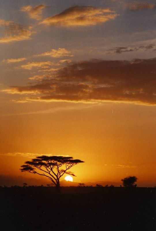 Puesta de sol en el Serengeti