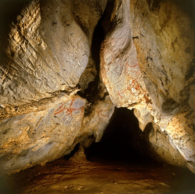 Cueva Covalanas Cantabria