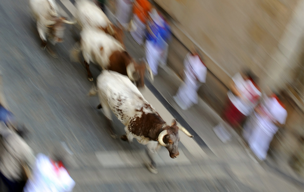 Corrida de toros de San Fermín 2009