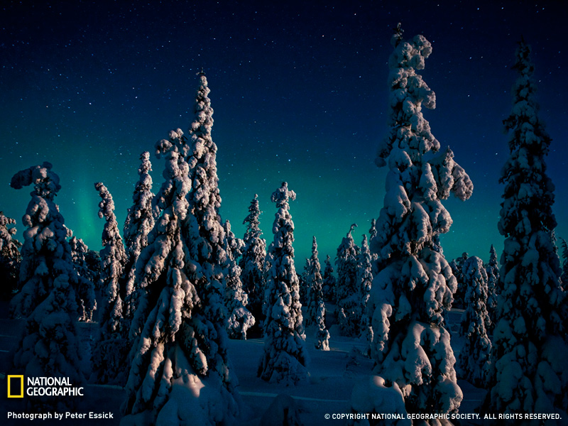 Aurora boreal en el parque nacional de Oulanka, Finlandia