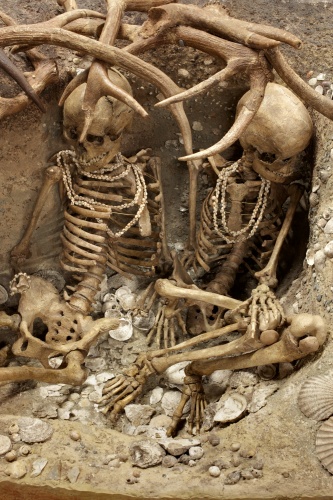 Exposición de sepultura prehistórica - Téviec