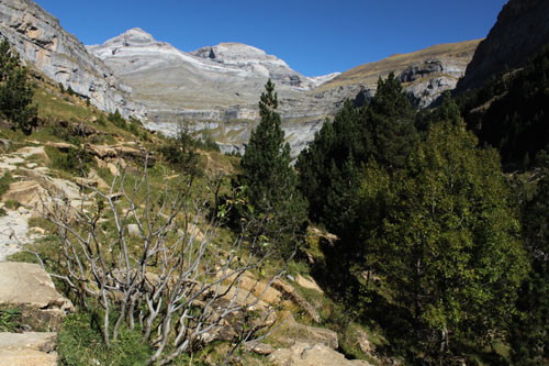 Parque Natural de Ordesa (Pirineo Aragonés)