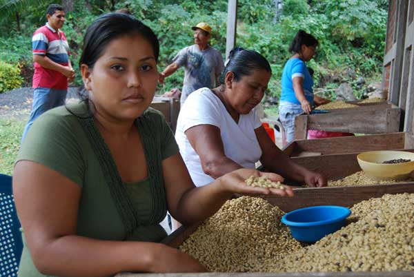 Trabajadoras del café en Finca Magdalena @MónicaHernández