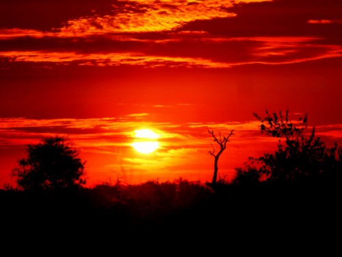 Puesta de sol en el Parque Kruger
