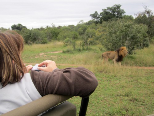 De safari por el Parque Kruger