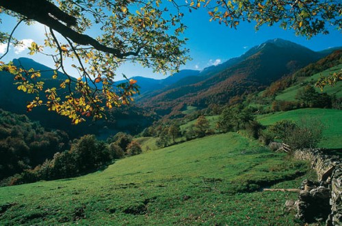 Primavera en Asturias @AsturiasTurismo