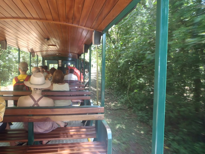 Tren hacia las Gargantas de Diablo de Iguazú