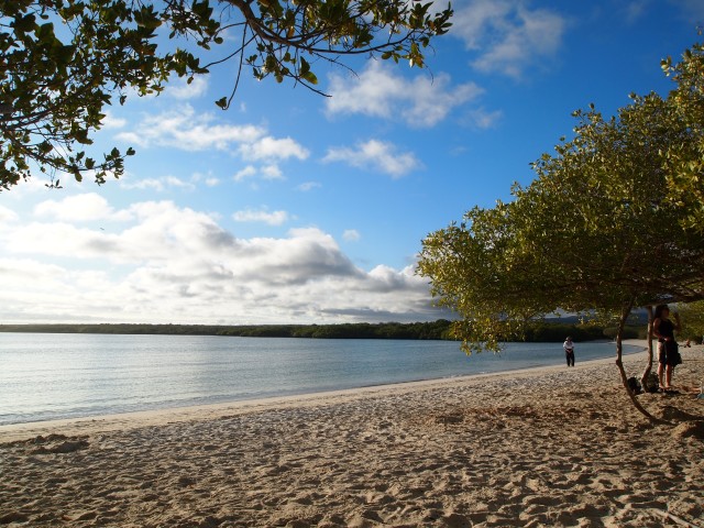Playa Mansa de Galápagos