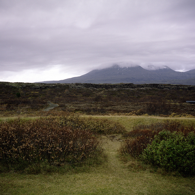 Bucólicos y enigmáticos paisajes en Islandia