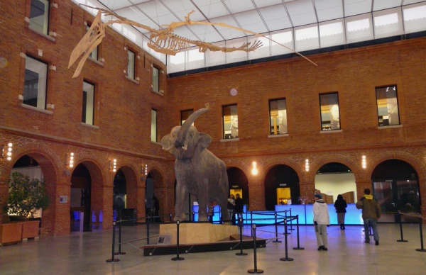 El Museo de Historia Natural de Toulouse
